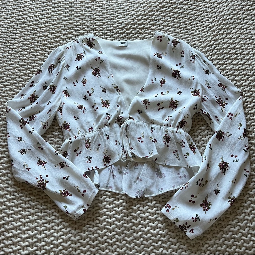 Aritzia Cropped Tie-Front Blouse